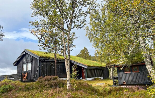 En rustik hytte med et skråt tag, omgivet af træer og en græsbevokset natur.