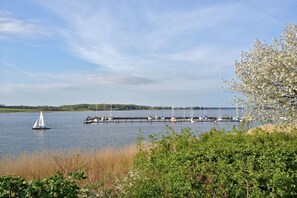 A calm lake with a sailboat, a dock with several boats, and a tree in the foreground. - Marina Hülsen - The Willow River House (Kosel)