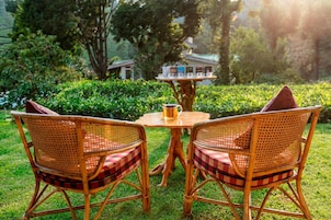 Two wicker chairs with checkered cushions and a table with a mug on it, set on grass with a view of trees and a building in the background.
