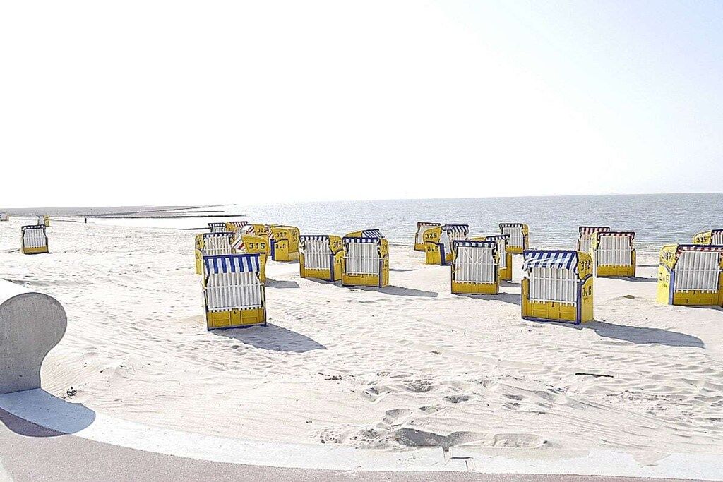 Une plage bordée de rangées de chaises de plage jaunes et blanches.
