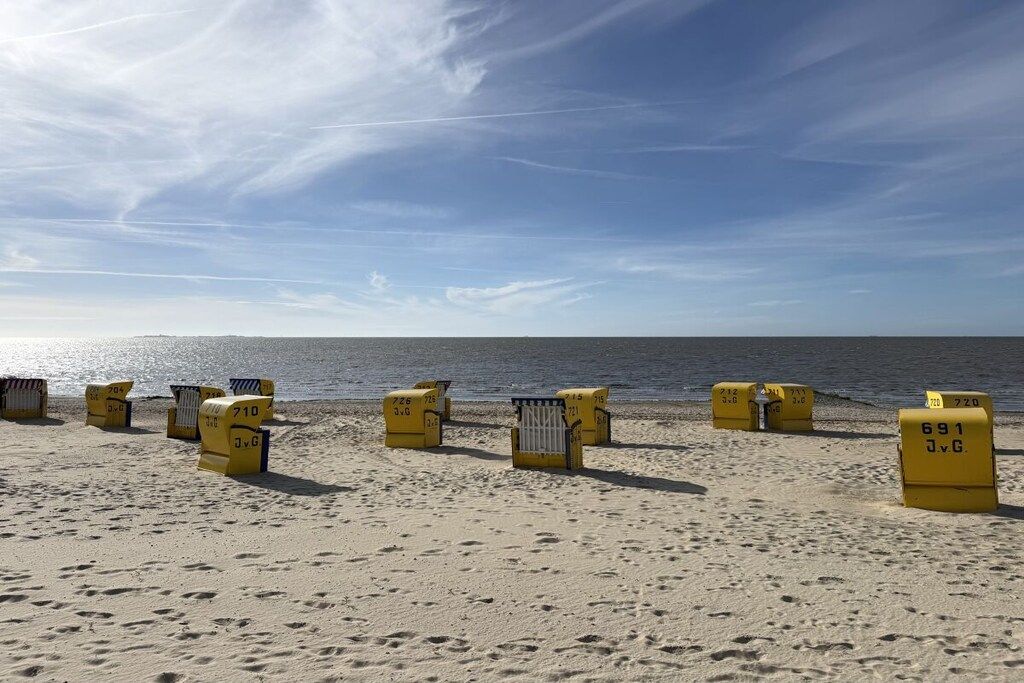 A beach with yellow numbered markers on the sand.
