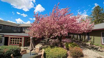 A building with a patio area, outdoor seating, and a flowering tree.
