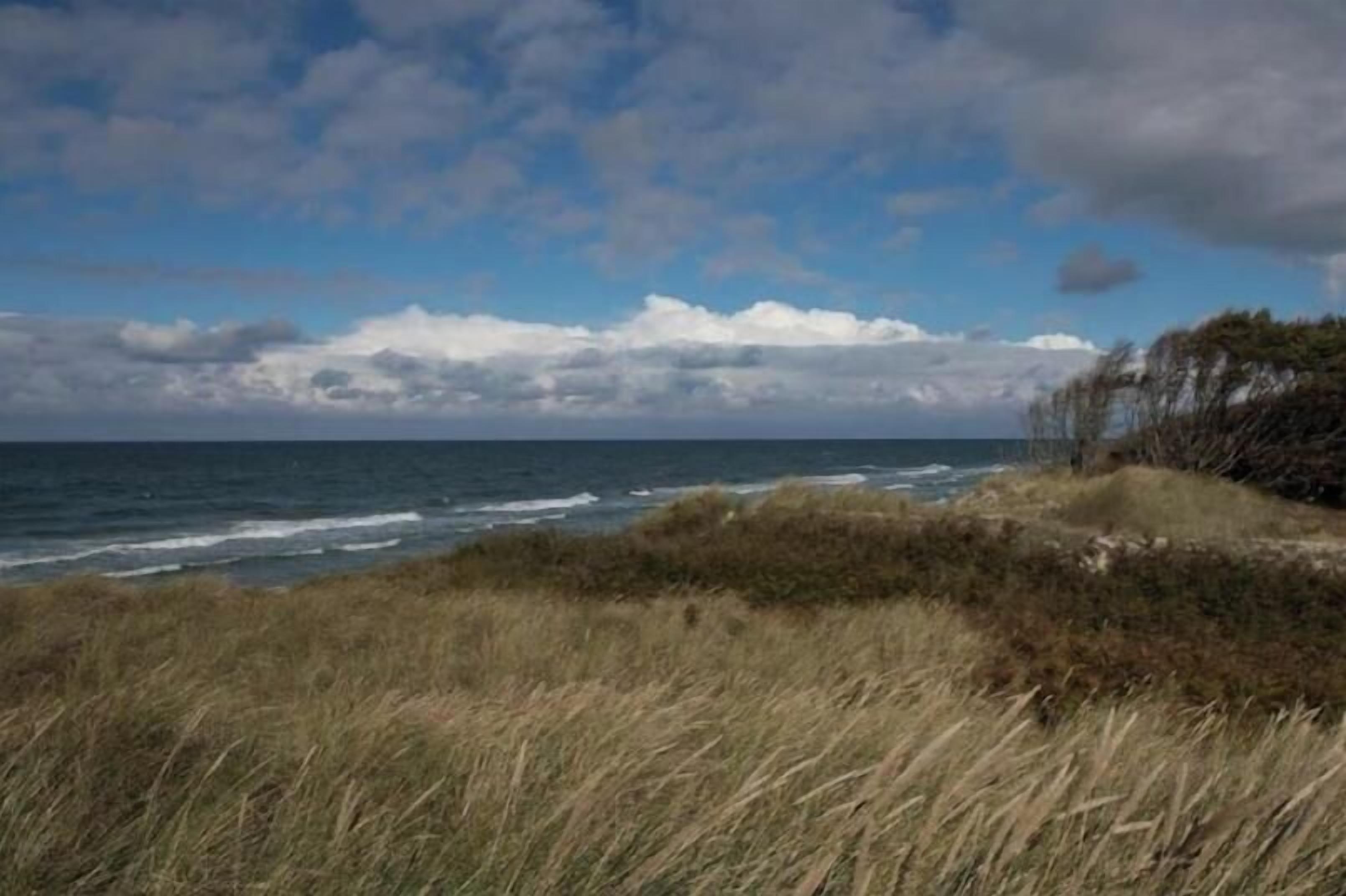 Paesaggio costiero con un prato in primo piano e vista sull'oceano sotto un cielo parzialmente nuvoloso.