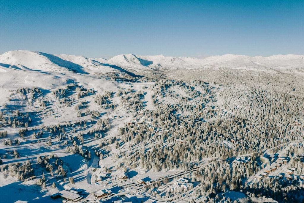 A snow-covered mountainous landscape with a dense forest and a small settlement.