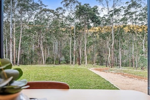 A view of a forested area with a dirt path leading through it.
