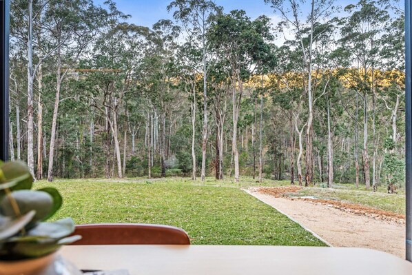 A view of a forested area with a dirt path leading through it.