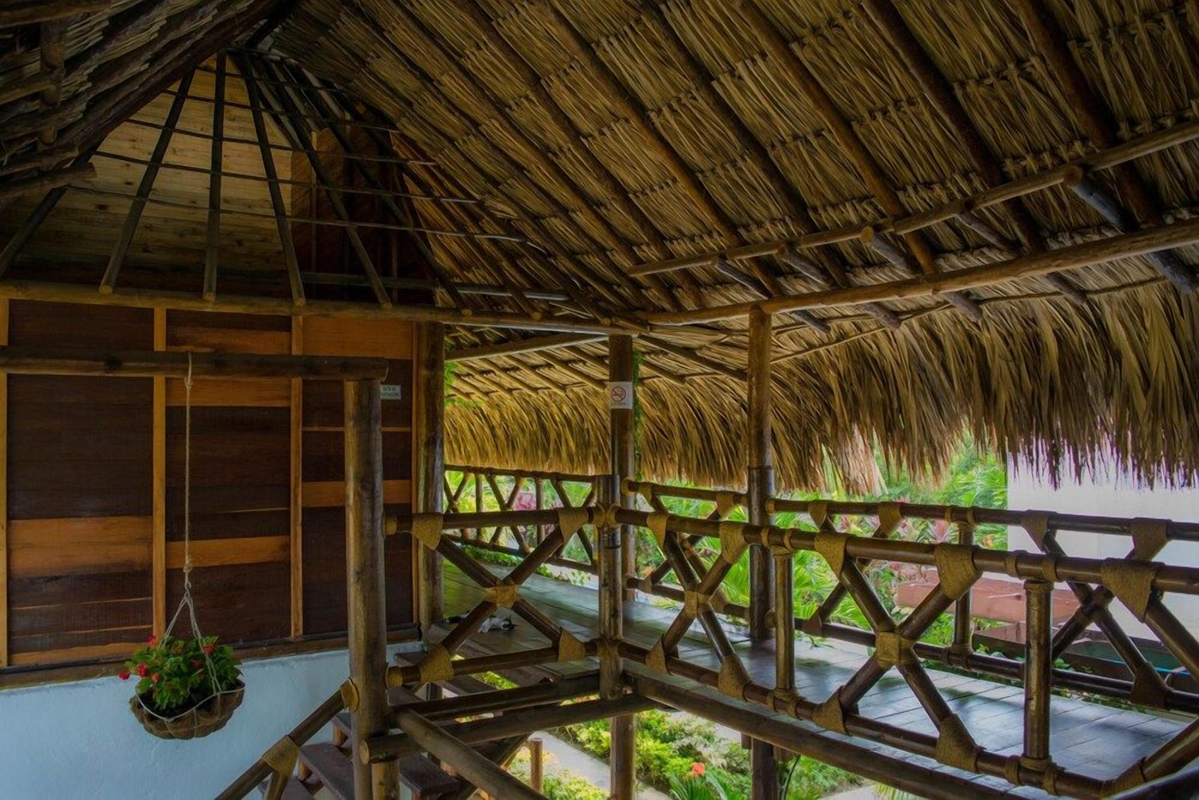Una habitación con techo de paja, vigas de madera y vistas al verde exterior.