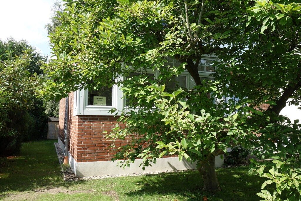 Un bâtiment en briques avec une fenêtre, entouré d’une zone herbeuse et d’arbres.