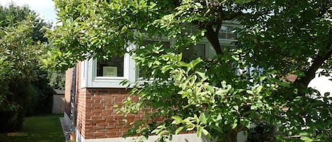 A brick building with a window, surrounded by a grassy area and trees.