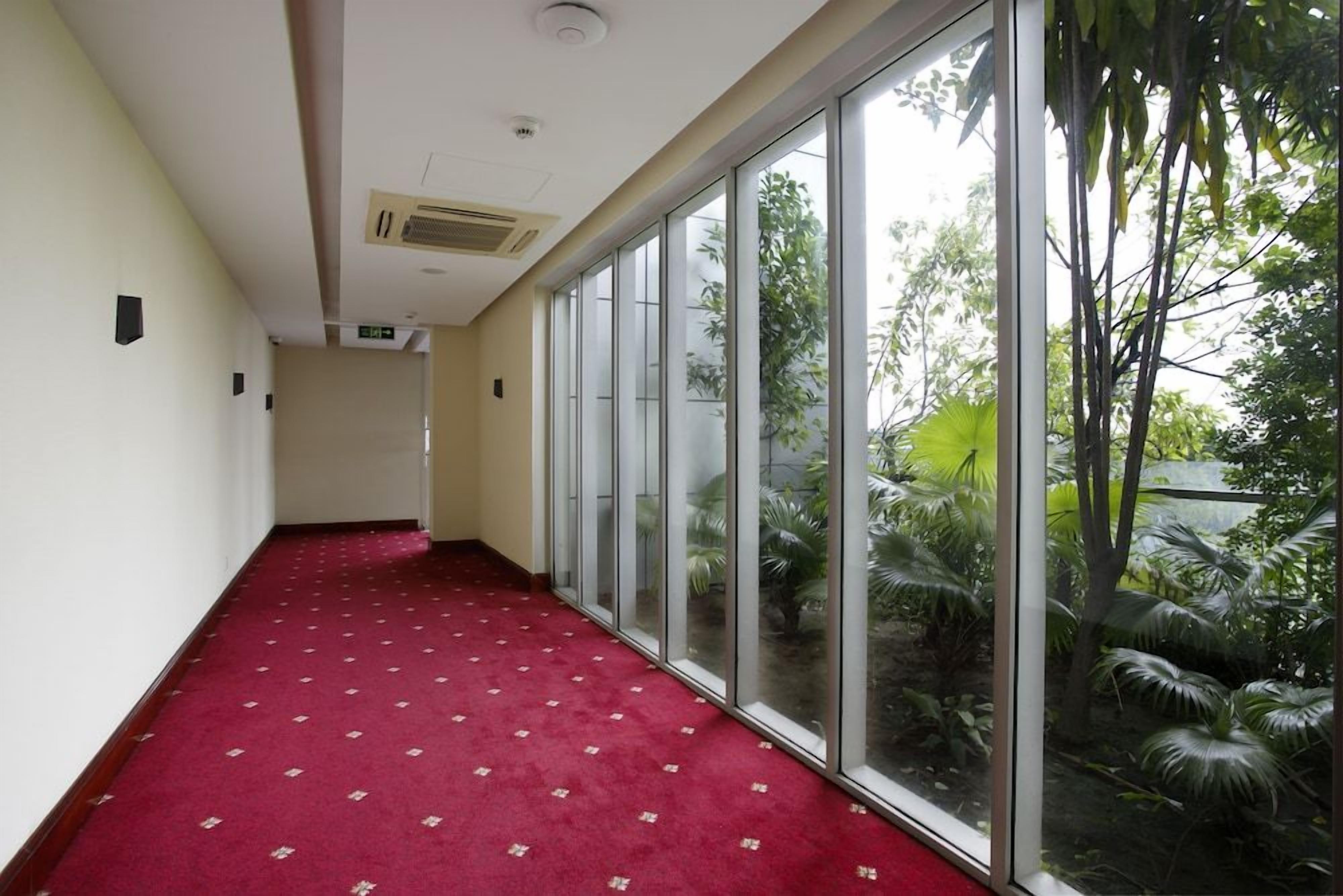 A hallway with a red carpet, large windows, and indoor plants.