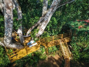 A wooden deck with a staircase leading to a treehouse platform surrounded by dense foliage. - Sweet Songs Jungle Lodge (San Ignacio)