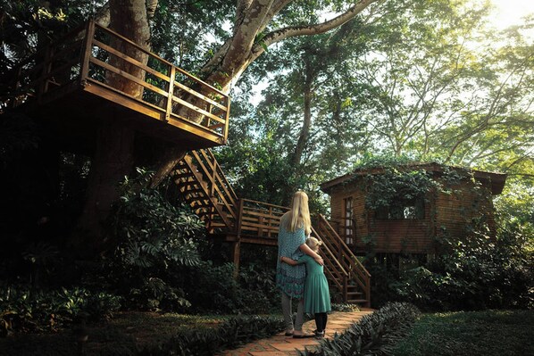A wooden structure with a staircase leading to a house surrounded by trees. - Sweet Songs Jungle Lodge (San Ignacio)