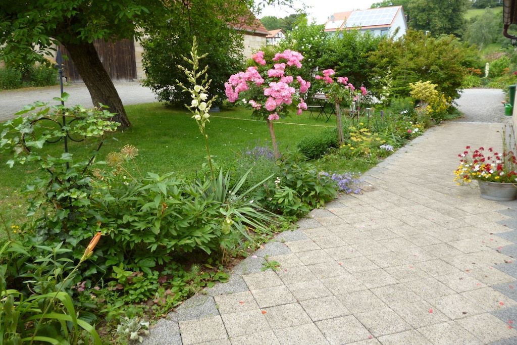 A garden with a paved walkway, various plants, and a tree.