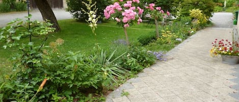 En trädgård med en stenlagd gångväg, olika växter och ett träd.