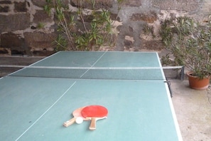 A table tennis table with two paddles and a ball, set against a stone wall with potted plants. - Holiday apartment with 2 bedrooms (Geiselwind)