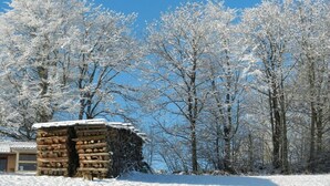 Una cabaña cubierta de nieve, con estructura de troncos y un cielo azul despejado al fondo.