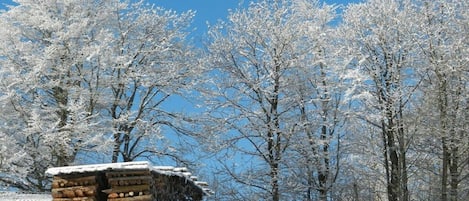 A snow-covered cabin with a log structure and a clear blue sky in the background.