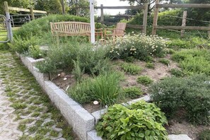 A garden with a wooden bench, a stone wall, and various plants. - Holiday apartment with 2 bedrooms (Wahlstorf-Wielen)