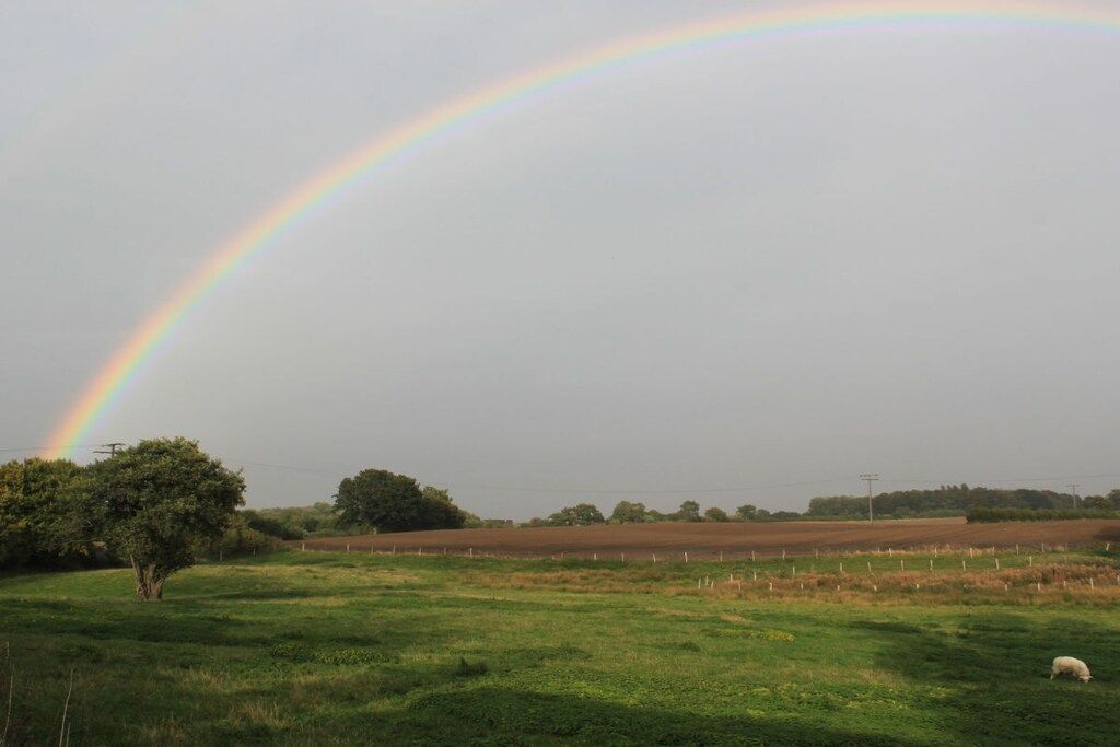 A rural landscape with a rainbow, a tree, and a field.