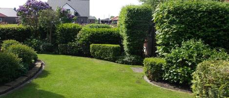 A well-maintained garden with neatly trimmed hedges and a lawn.