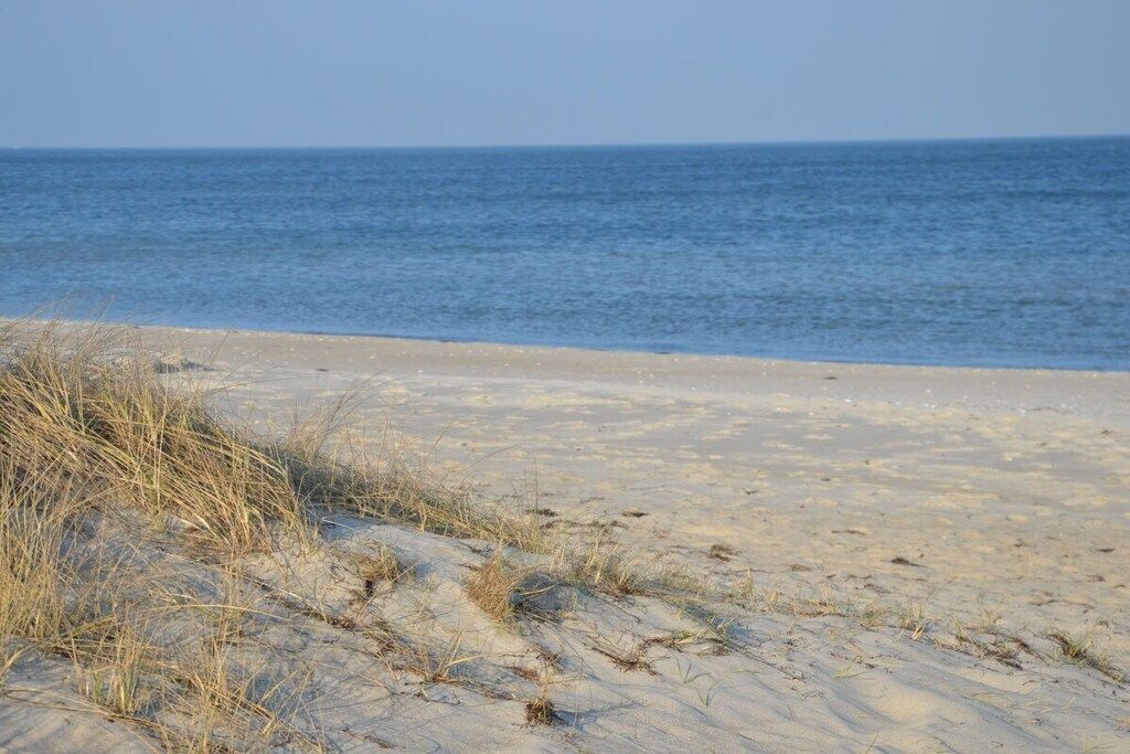 Une plage avec des dunes de sable et une vue dégagée sur l’océan.