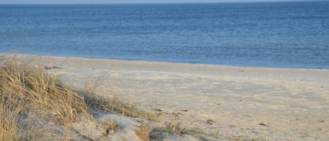 Una playa con dunas de arena y una vista despejada del océano.