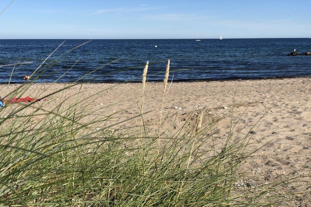 A beach with sand and seaweed in the foreground, a clear sky, and a calm sea with a boat in the distance.