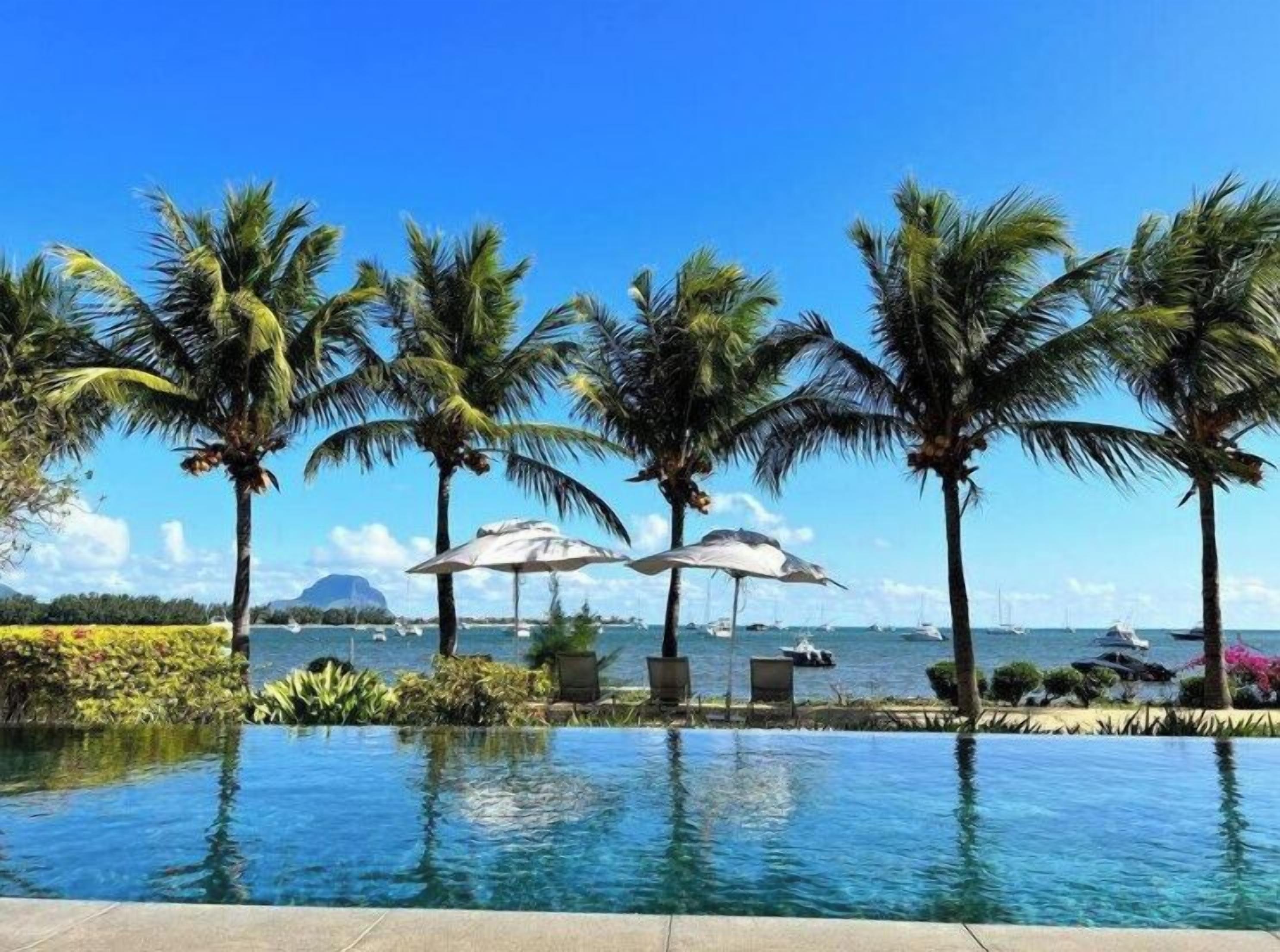 Una piscina amb palmeres i ombrel·les, cel clar i vista al mar.