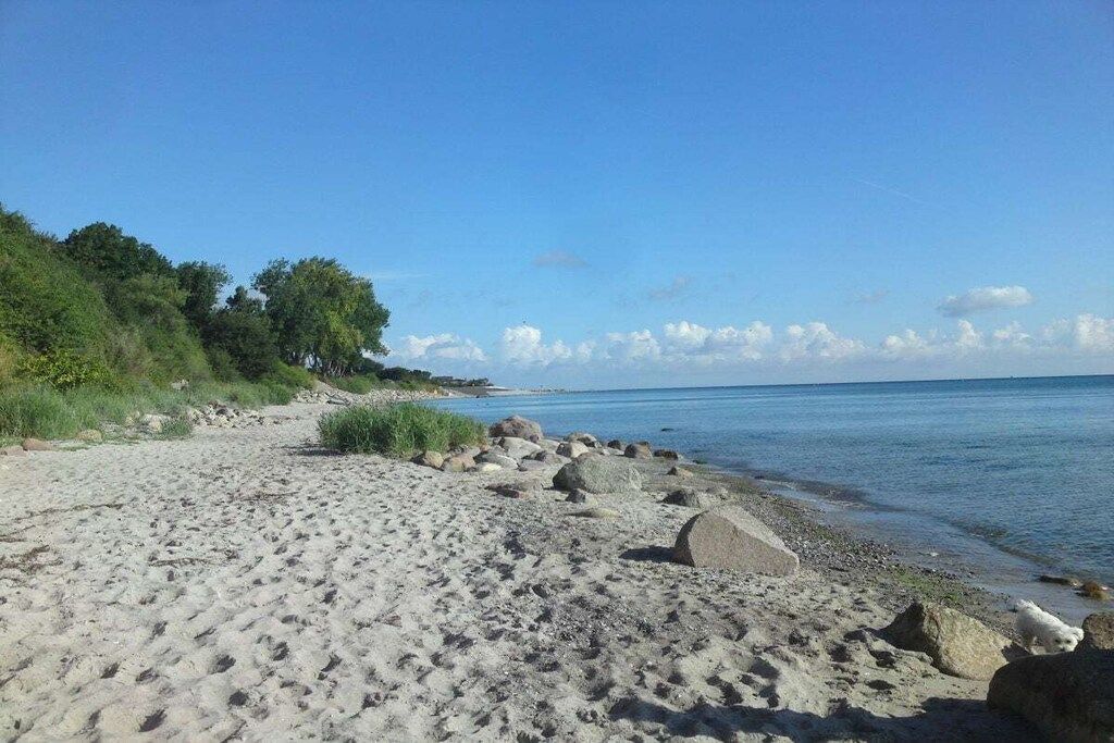 A sandy beach with rocks and greenery, leading to a calm body of water.