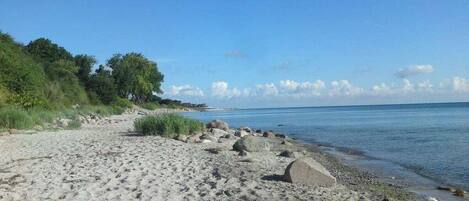 A sandy beach with rocks and greenery, leading to a calm body of water.