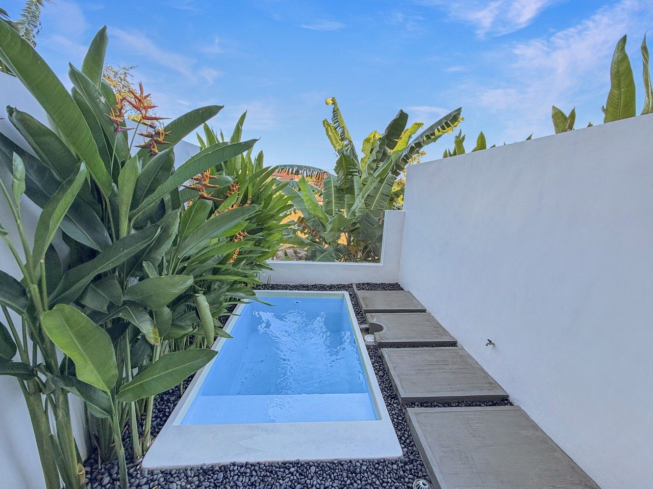 Una piscina rectangular amb una superfície d'aigua blava i cristal·lina, envoltada per una paret blanca i una filera de plantes tropicals.