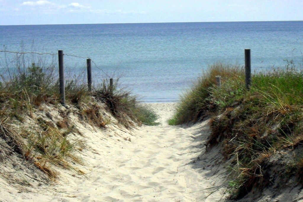 A sandy beach path leading to the ocean, bordered by grass and a fence.