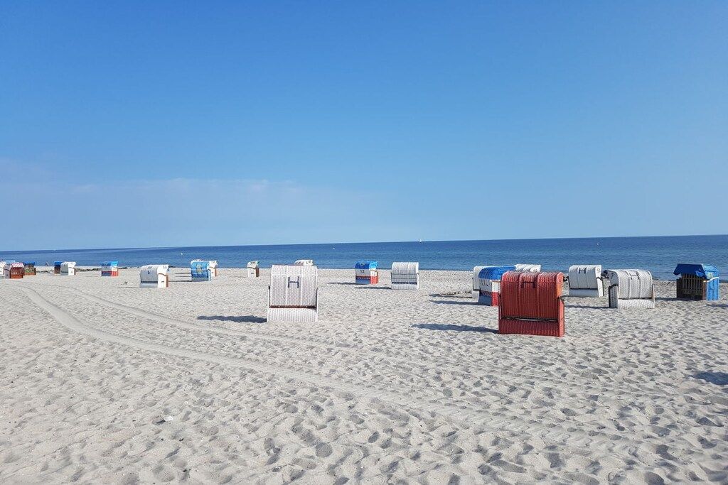 Une plage bordée de rangées de chaises longues et de parasols, un ciel dégagé et l’océan en toile de fond.