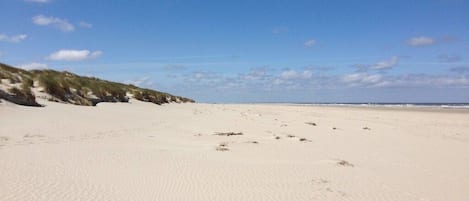 A sandy beach with dunes and a clear sky.