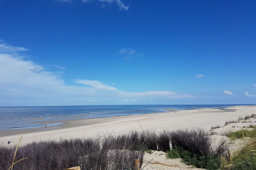 A beach with a clear sky and a sandy shore.