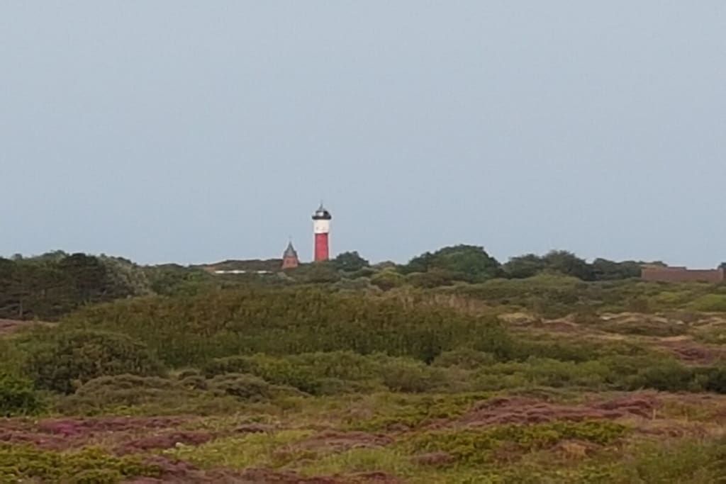 Et fyrtårn på en bakke omgivet af vegetation.