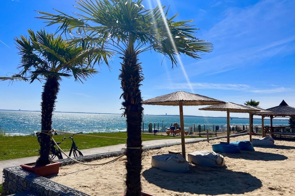 Een strand met palmbomen, strandparasols en een helder uitzicht op de zee.