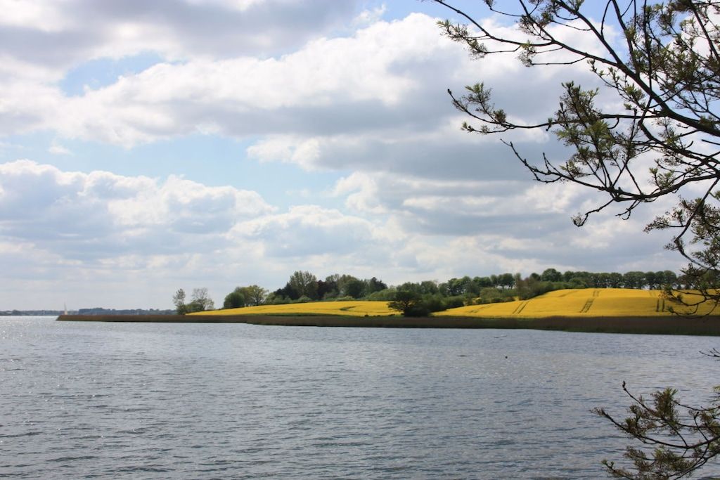 Un lac avec une rive éloignée, des arbres et un ciel partiellement nuageux.