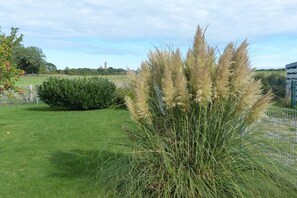 A grassy area with a tall ornamental grass plant, a small bush, and a fence. - Thatched holiday home with lighthouse view (Putgarten)