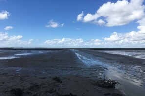 A beach with wet sand and a clear sky. - Holiday apartment with 1 bedroom (Ahrenviöl)