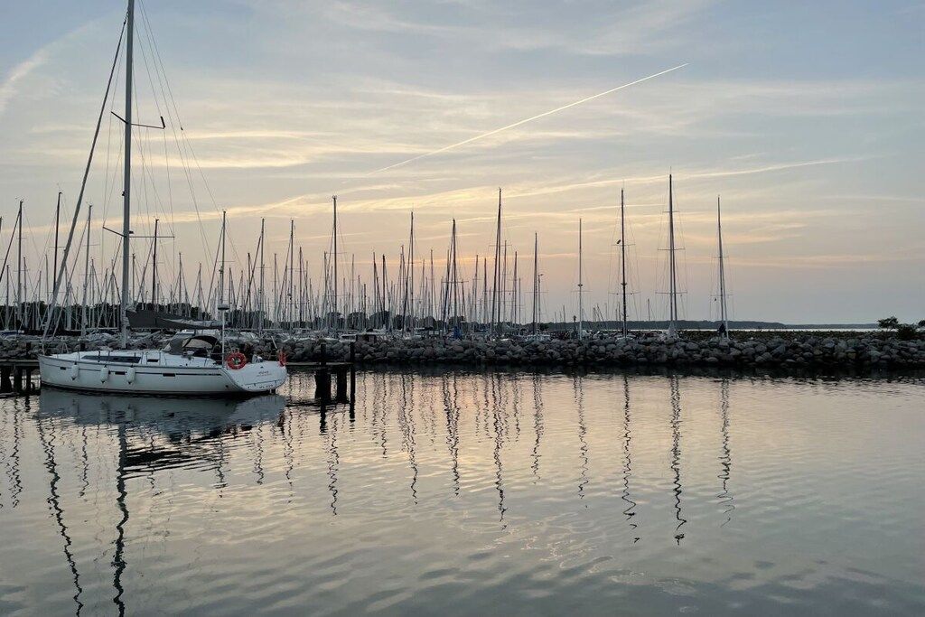 A marina with multiple sailboats docked, calm water, and a clear sky.