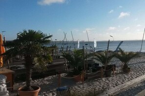 A beach with palm trees, a wooden fence, and a view of the sea. - Baltic Sea holiday home Scharbeutz (Scharbeutz)