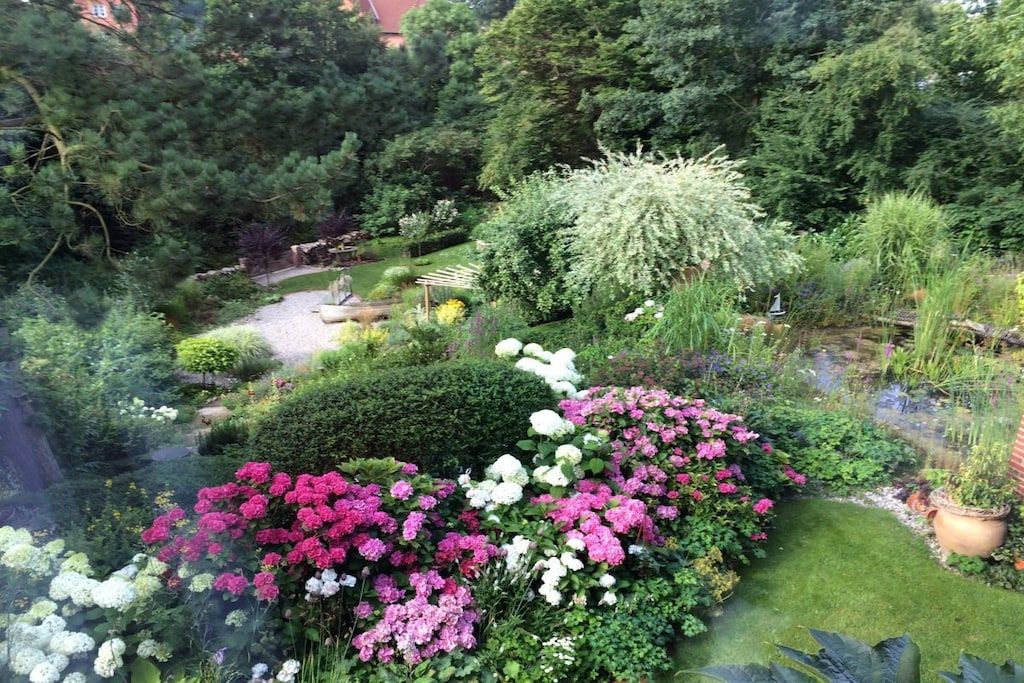 Un jardin luxuriant, avec une grande variété de plantes et de fleurs, un petit étang et un sentier.
