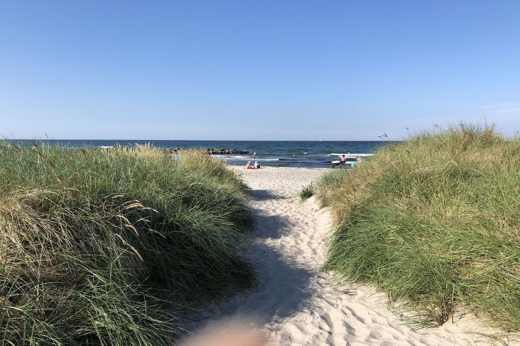 A sandy beach path leading to the ocean, surrounded by grass.