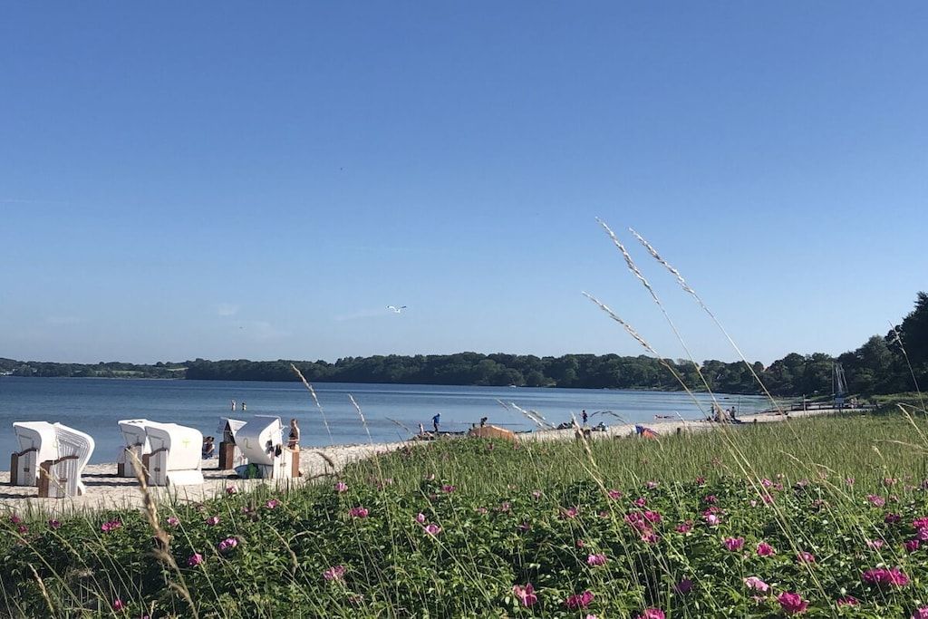 Blick auf ein Seeufer mit weißen Liegestühlen und einer Wiese mit rosa Blumen.