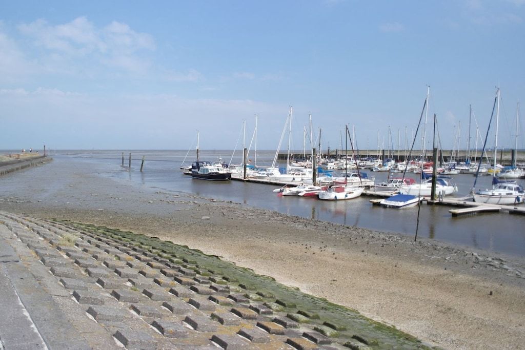 A marina with boats docked along the shore, a clear sky, and a stone walkway leading to the water.
