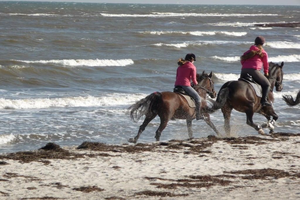 Deux personnes à cheval se promènent le long d’une plage, avec des vagues en arrière-plan.