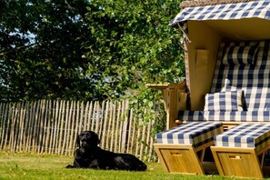 Ein schwarzer Hund liegt auf Gras, eine Holzterrasse mit karierten Kissen und ein Holzzaun im Hintergrund.