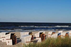 Beach chairs lined up on a sandy beach with the ocean in the background. - No. 9 in Villa Aegir (Ostseebad Binz)