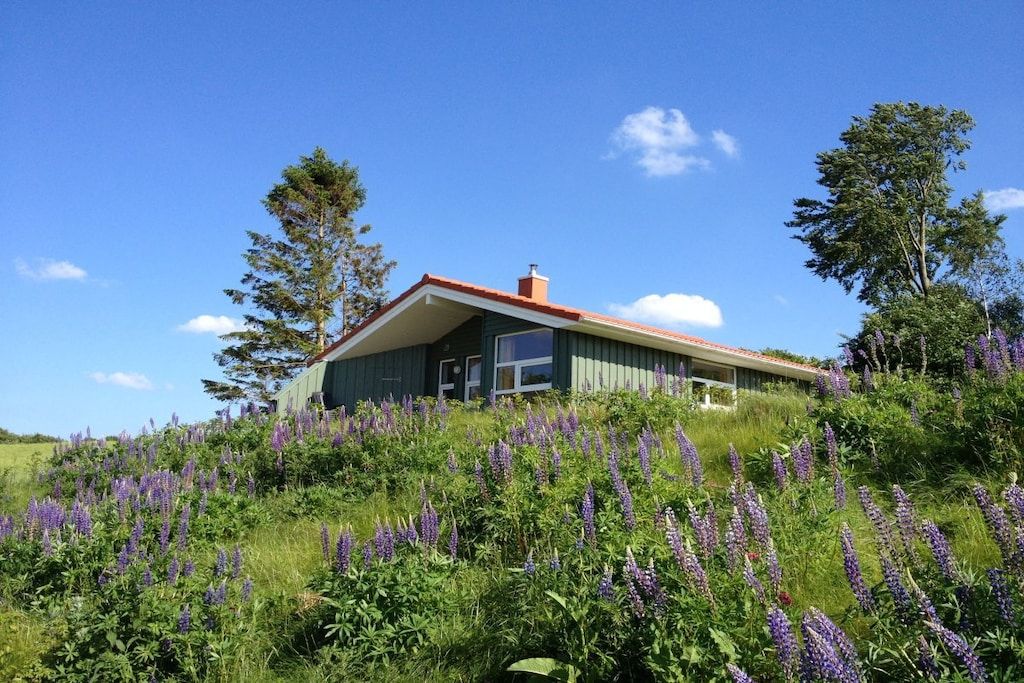 A house with a sloped roof, surrounded by a field of purple flowers, under a clear blue sky.